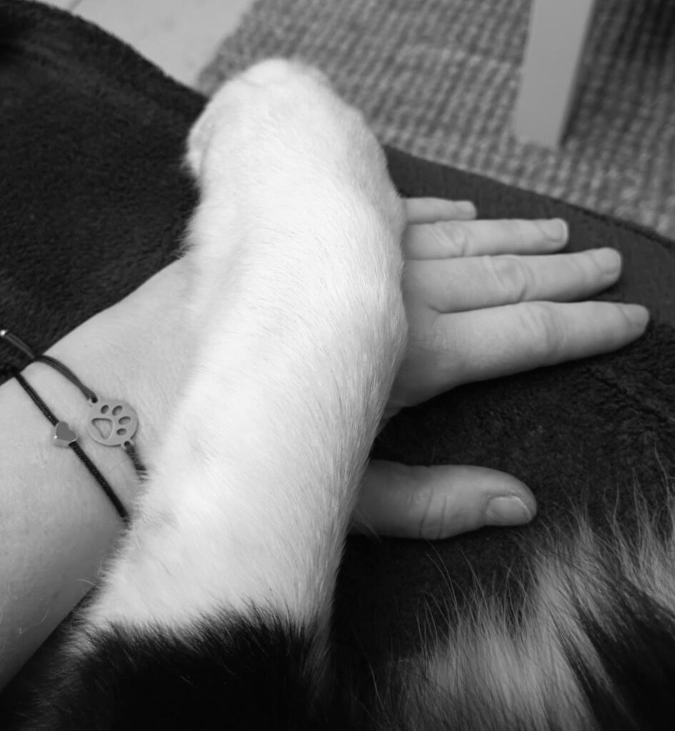 Patte chien - Emilie Laidebeur PetSitter