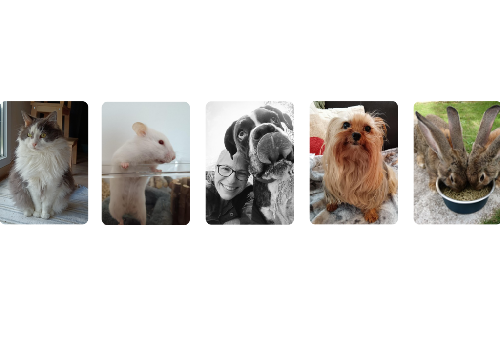 Image page d'accueil Emilie Laidebeur PetSitting